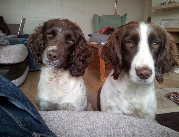 Toby and Lil