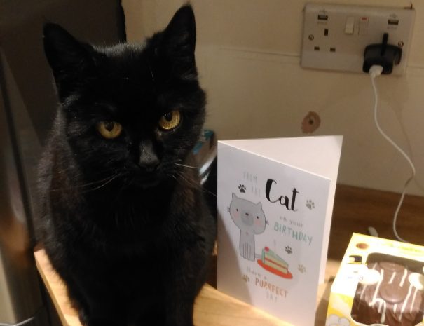 Taz Birthday Card Full