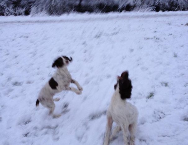 Toby and Lily Snow