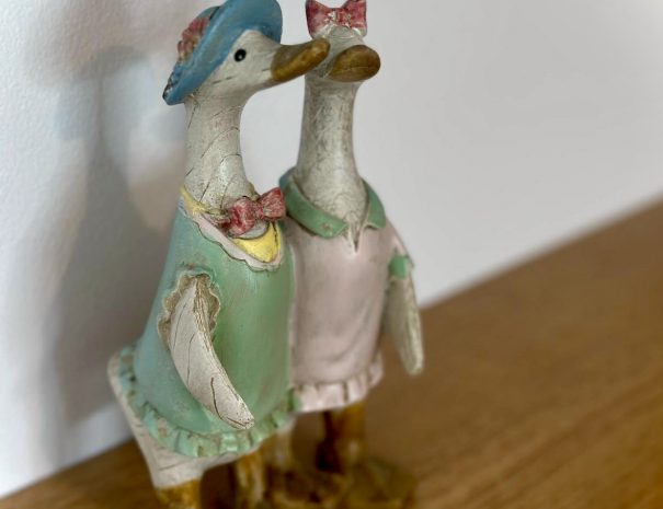 Ducks